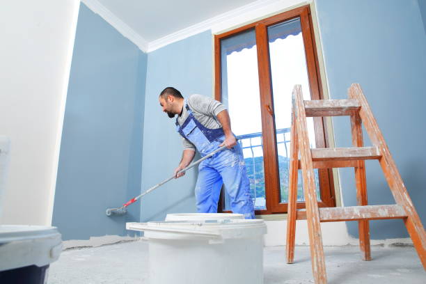 Professional Mold Removal in Keewatin, MN