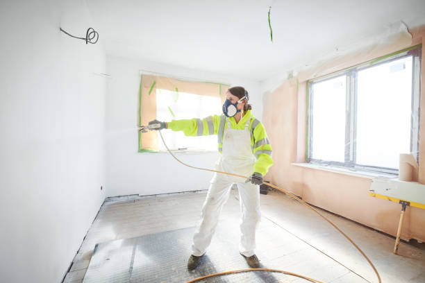 Best Crawl Space Mold Remediation  in Keewatin, MN