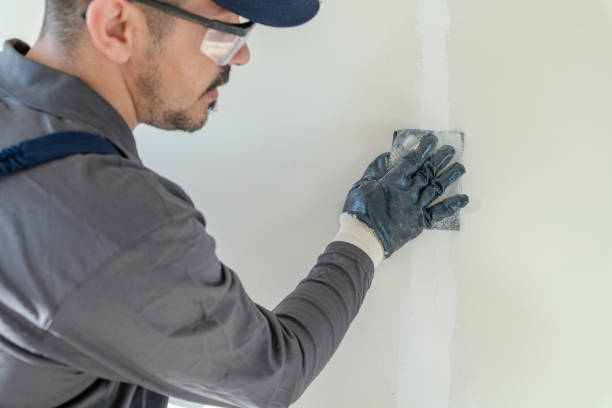 Best Mold Prevention Services  in Keewatin, MN