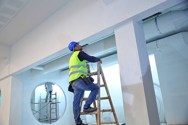 Best Emergency Mold Remediation  in Keewatin, MN