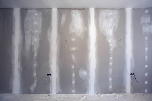 Best Comprehensive Air Testing for Mold Contaminants  in Keewatin, MN